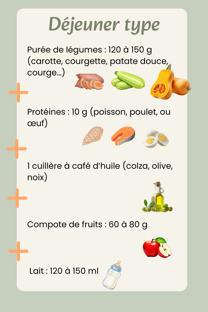 Journée type de bébé : menus et repas de 6 à 10 mois