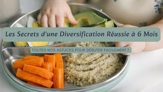 Guide Complet DME : Les Secrets d'une Diversification Réussie à 6 Mois