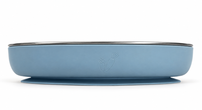 assiette inox à ventouse ergonomique colorée